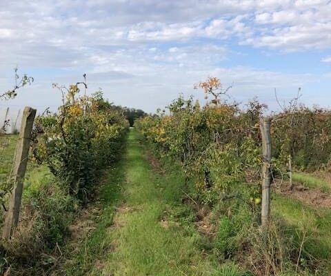 visite Rpe ferme des perrieres2