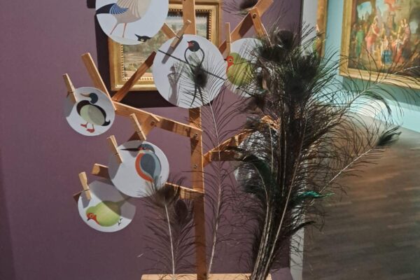Photo AM (4)