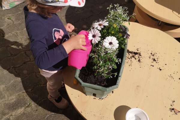 Potager3